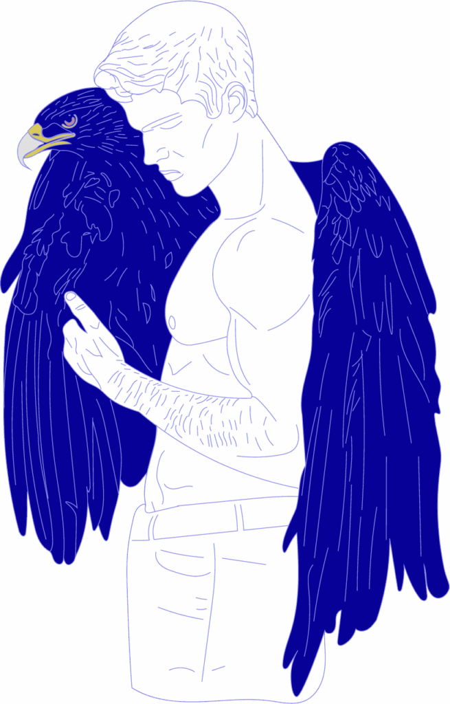 Illustration aigle site